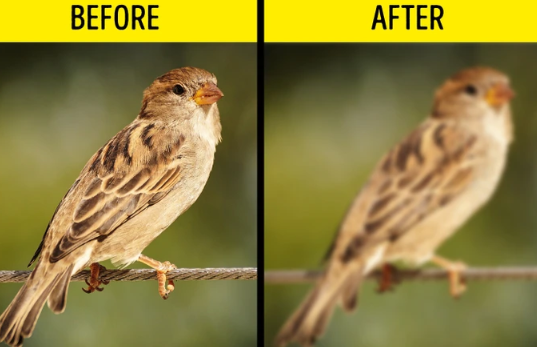 8 Space Truths Hidden by NASA: The Human Body Can Become Like This in a Weightless State...