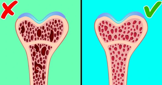 8 Space Truths Hidden by NASA: The Human Body Can Become Like This in a Weightless State...