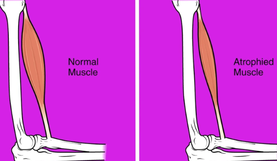 8 Space Truths Hidden by NASA: The Human Body Can Become Like This in a Weightless State...